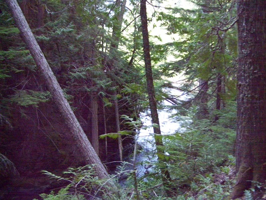 Greenwater Creek.